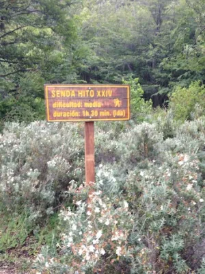 National Park Entry Fees Climb 8%: What Visitors Need to Know Now - Cover Image