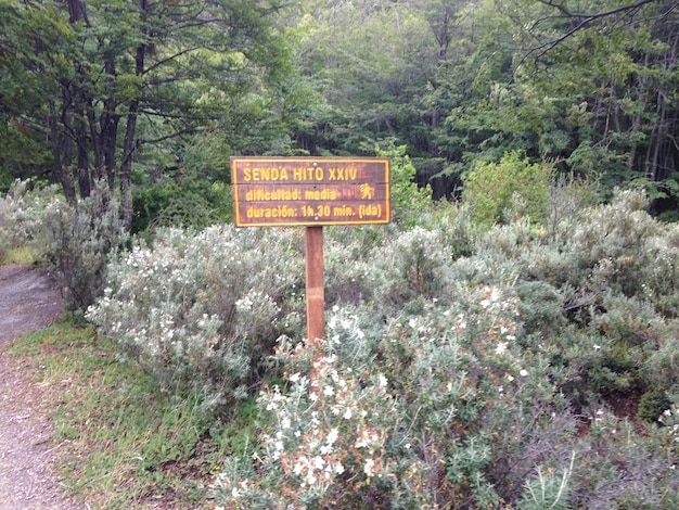 National Park Entry Fees Climb 8%: What Visitors Need to Know Now