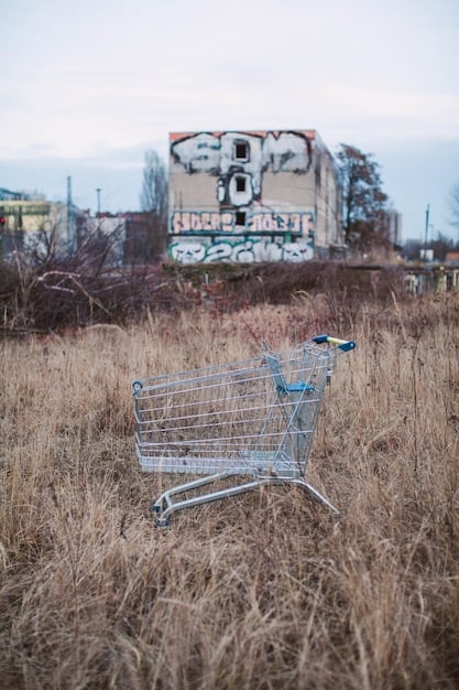 A grocery cart overflowing with items, with price tags clearly visible, against a backdrop of a gas station with high fuel prices.