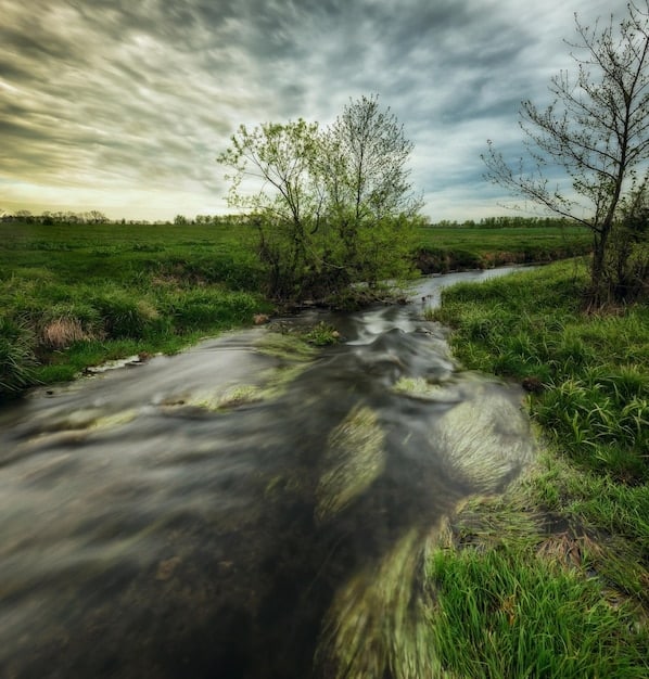 A flowing, pristine river cutting through a lush green valley in a National Park, symbolizing ecological health and the benefits of conservation funding.